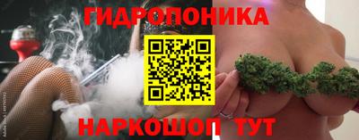 apvp Рыбинск