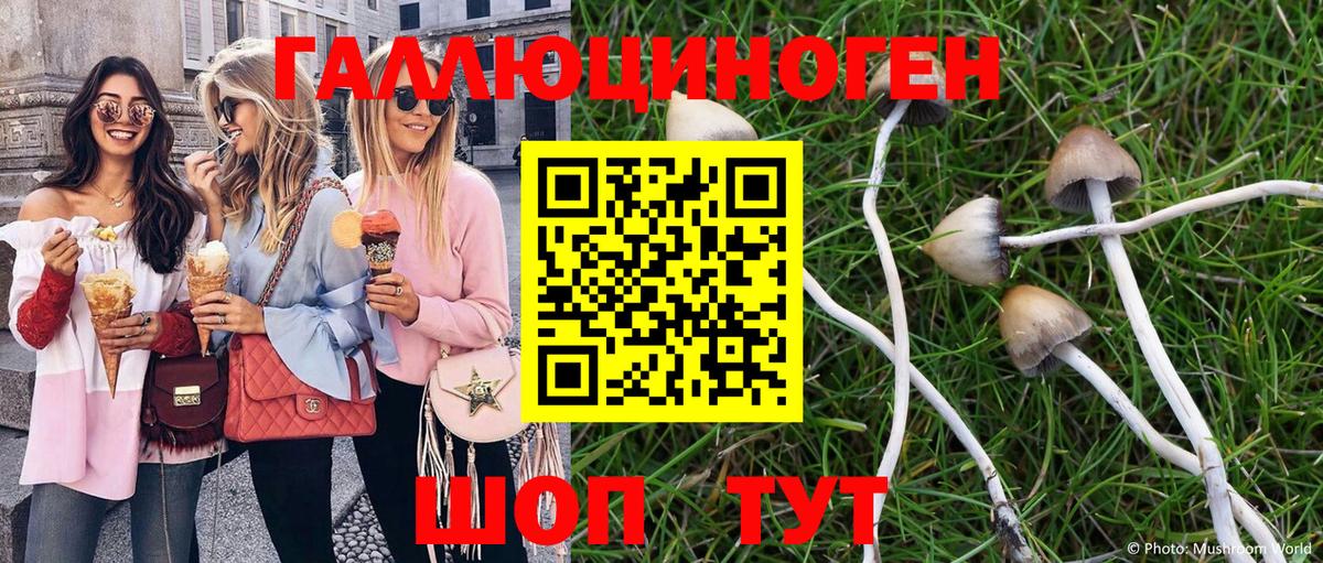 Соликамск  Галлюциногенные грибы Cubensis  Галлюциногенные грибы GOLDEN TEACHER  Вход с VPN 